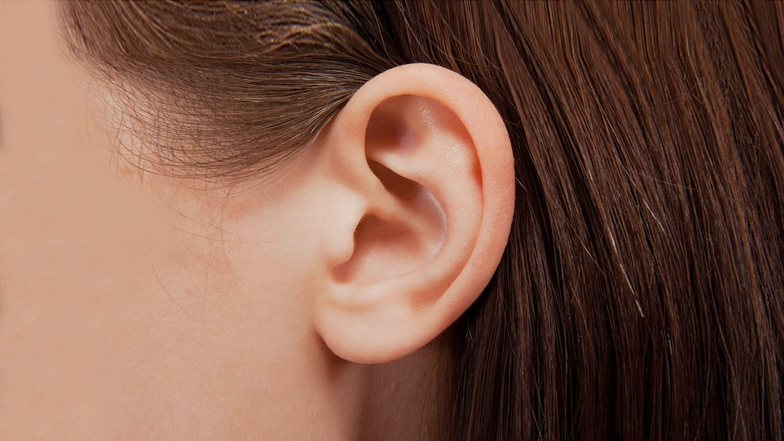 Auriculotherapy 101: Basics of Ear Acupressure Therapy