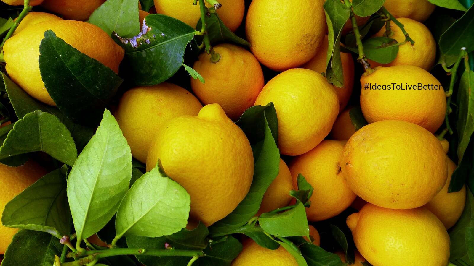 Lemons: Magic in every squeeze