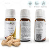 100% Pure Ginger Oil (MERKEO14) by meraki essentials | available at heyzindagi.com