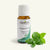Shop Peppermint Essential Oil (10 ml) - Pure & Alcohol Free