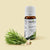 Rosemary Essential Oil (10 ml) - Pure & Alcohol-Free
