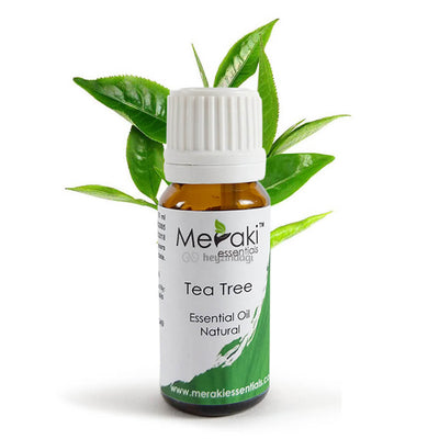 Tea tree essential oil by Meraki Essentials | order online at heyzindagi.com