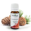 Cedarwood essential oil (MERKEO16) by meraki essentials | order online at heyzindagi.com