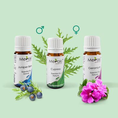 Aromatherapy Essential oil combo for Urinary Incontinence by Meraki | Order online at Heyzindagi.com