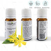 100% natural & alcohol-free Ylang ylang essential oil (MERESBL01) by meraki essentials | order online at heyzindagi.com