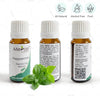 100 % natural peppermint essential oil. Pure & free from alcohol | www.heyzindagi.com