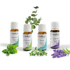 Aromatherapy Essential Oil Combo for Snoring & Sleep Apnea by Meraki Essential | Order online at Heyzindagi.com